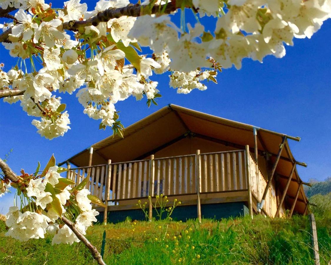 Villaladiva Boutique Glamping Massignano Exteriör bild