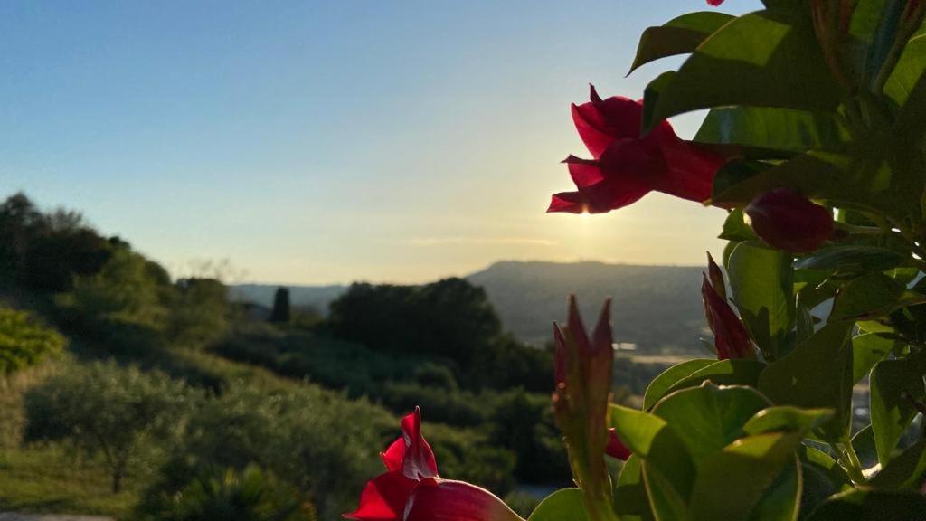 Villaladiva Boutique Glamping Massignano Exteriör bild